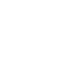 h2 view Logo